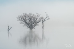 A foggy morning at the Flight Deck