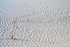 White Sands National Park