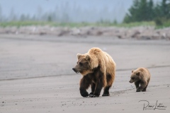 2013-Lake-Clark-20130819-5