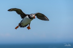 Lubec-NIKON-D810Lubec-1038