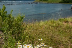 Lubec-NIKON-D810Lubec-1379